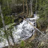 Rushing Stream and waterfall on the Cameron River