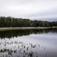 Shoreline Landscape of Vee Lake under Clouds