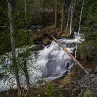 Trees and nature scenery of the smaller side of Cameron Falls