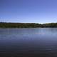 Trees, shoreline, nature, water on the Ingraham Trail