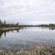 Wetlands and Lakes on the Ingraham Trail