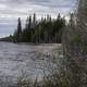 Shoreline with trees at Chan lake Territorial Park