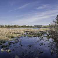 Marshland and wetlands under the skies in Yellowknife