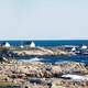 Peggy's cove and the lighthouse with the sea in Halifax, Nova Scotia