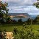 Apple Orchard and Landscape in Nova Scotia, Canada