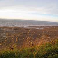 Seashore with grass and beach in Nova Scotia, Canada