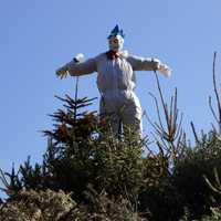 The Scarecrow in Nova Scotia, Canada