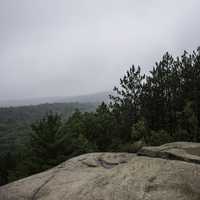 Fog and mist over the forest at Algonquin Provincial Park, Ontario