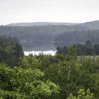 Lake landscape on a foggy day in Algonquin Provincial Park, Ontario