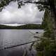 Landscape of Jack Lake in Algonquin Provincial Park, Ontario