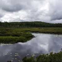 Pond and nature landscape in Algonquin Provincial Park, Ontario
