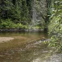 Scenic River at Algonquin Provincial Park, Ontario Canada