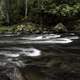 The forest and the Peshekee River at Van Riper State Park, Michigan