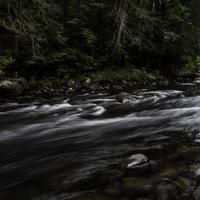 Algonquin Provincial Park  Photos