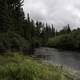 Winding River scenery in Algonquin provincial Park, Ontario