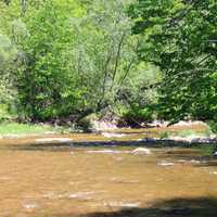 Bronte Creek Scenery at Bronte Creek Provincial Park, Ontario, Canada