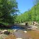 Bronte creek scenery at Bronte Creek Provincial Park, Ontario, Canada