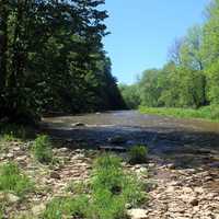 Stream Shore at Bronte Creek Provincial Park, Ontario, Canada