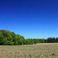 Corn fields at Bronte Creek Provincial Park, Ontario, Canada