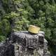 Cooking Pot on a cliff at Eagle Canyon, Ontario