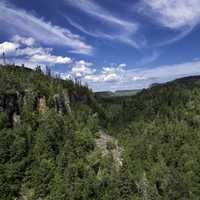 Forest and Canyon landscape at Eagle Canyon, Ontario