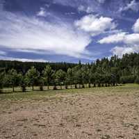 Landscape at the Parking lot at Eagle Canyon, Ontario