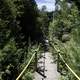 Stairs down the Canyon between the trees in Eagle Canyon, Ontario