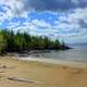 Forest and Lakeshore at Lake Nipigon, Ontario, Canada