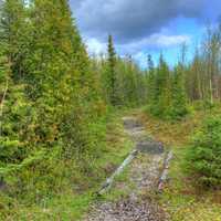 The Hiking Trail at Lake Nipigon, Ontario, Canada