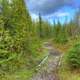 The Hiking Trail at Lake Nipigon, Ontario, Canada