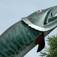 Husky the Muskie Fish Statue in Kenora, Ontario, Canada
