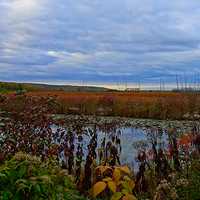 Landscape and Sky with clouds in Ontario, Canada