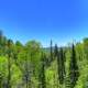 Looking over the trees at Ouimet Canyon, Ontario, Canada