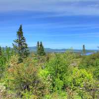 Forest and Horizon at Pigeon River Provincial Park, Ontario, Canada