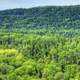 The large forest at Pigeon River Provincial Park, Ontario, Canada