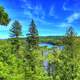 Trees and Forest at Pigeon River Provincial Park, Ontario, Canada