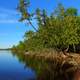 Forest Shoreline at Sleeping Giant Provincial Park, Ontario, Canada