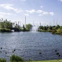 Landscape of the Water Garden in Thunder Bay Ontario, Canada