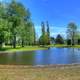 Pond in the Park in Thunder Bay, Ontario, Canada