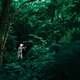 Person in suit in the forest in Nuns' Island, Montreal, Canada