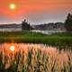 Sunset over the Wetlands in Quebec, Canada