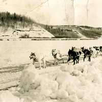 Dog Sled Race in 1954 in Flin Flon, Saskatchewan