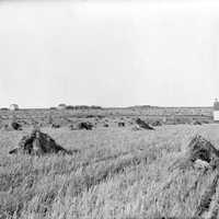 School house from before 1923 in Morden