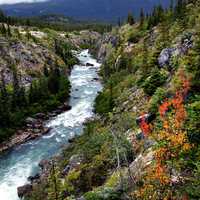 Beauty of the Yukon Outdoors