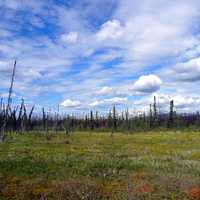 Campbell Highway Landscape under the skies in Yukon Territory, Canada