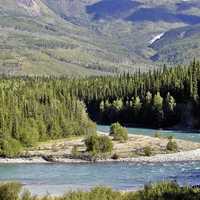 Landscape with river and forest in Yukon Territory, Canada