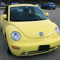 Yellow Bug