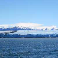 Pio XI Glacier landscape in Chile