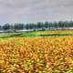 Fields, ponds, and sky in Anhui, China