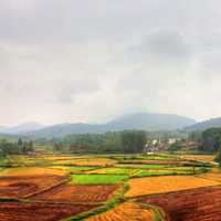 Farms in Anhui, China